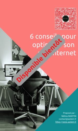 e-book - optimiser son site internet - non dispo