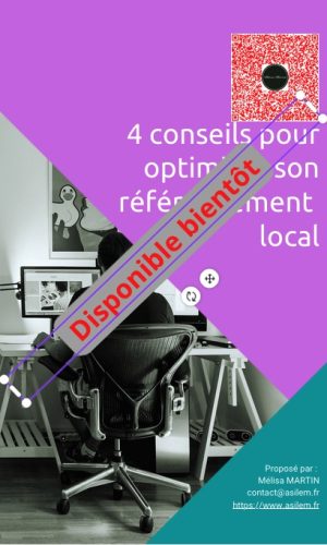 ebook - Optimiser son référencement local - non dispo